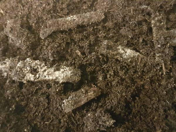 heavily degraded polycaprolactone cable ties