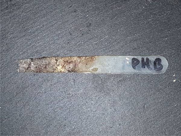 The most commonly used of the poly-hydroxy-alkanoates are copolymers of 3-hydroxy butanoic acid and 3-hydroxy pentanoic acid. This partially buried test stick is made of such a copolymer and was substantially biodegraded in less than a year. A partially biodegraded poly 3-hydroxy butyrate test stick.