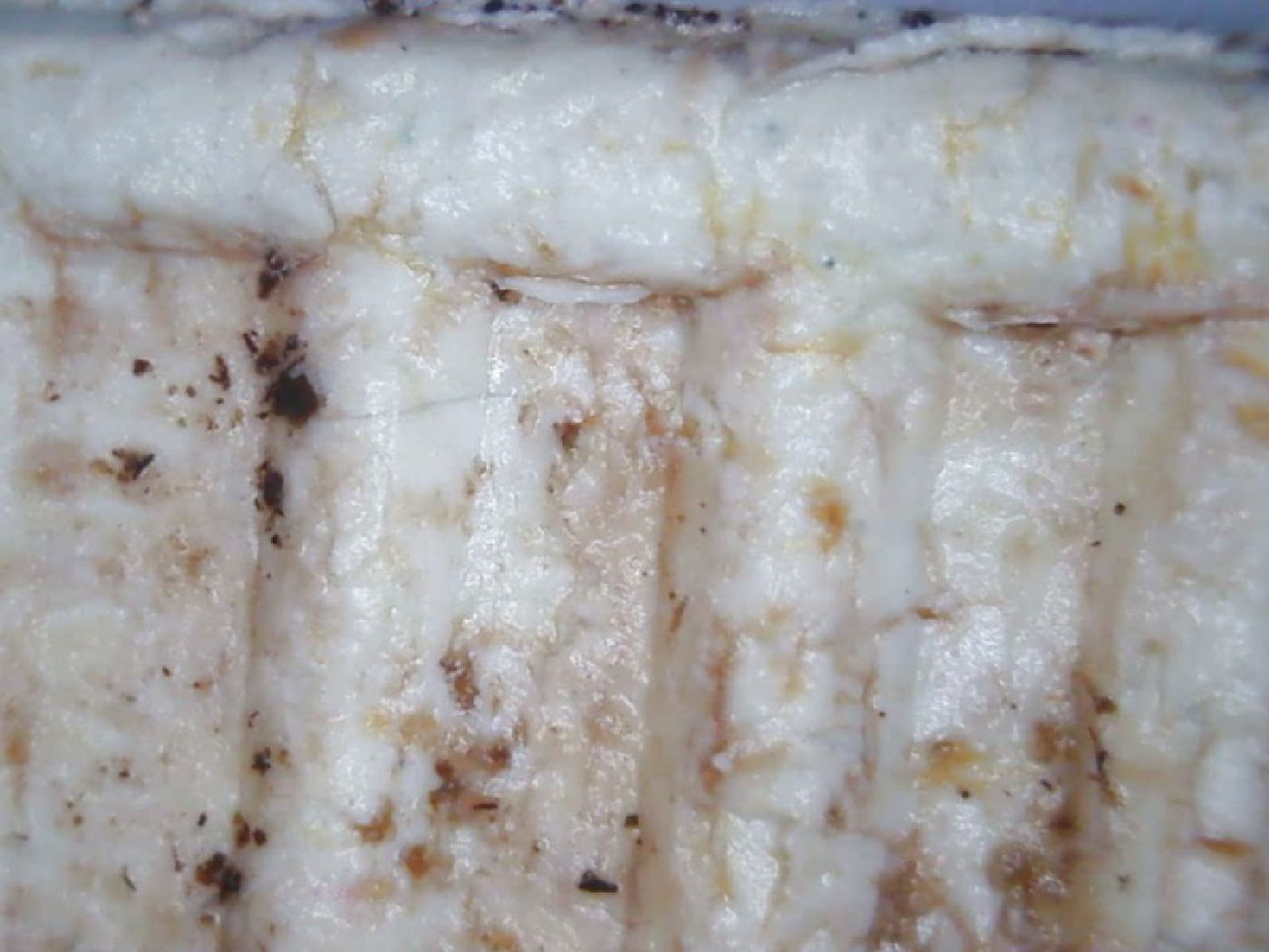 Biodegradable rapstrap cable ties Biodegradable rapstrap cable ties